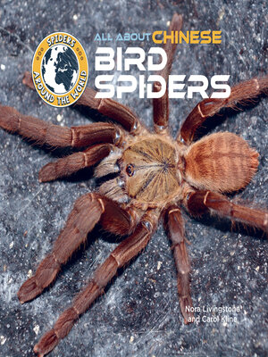 cover image of All About Chinese Bird Spiders